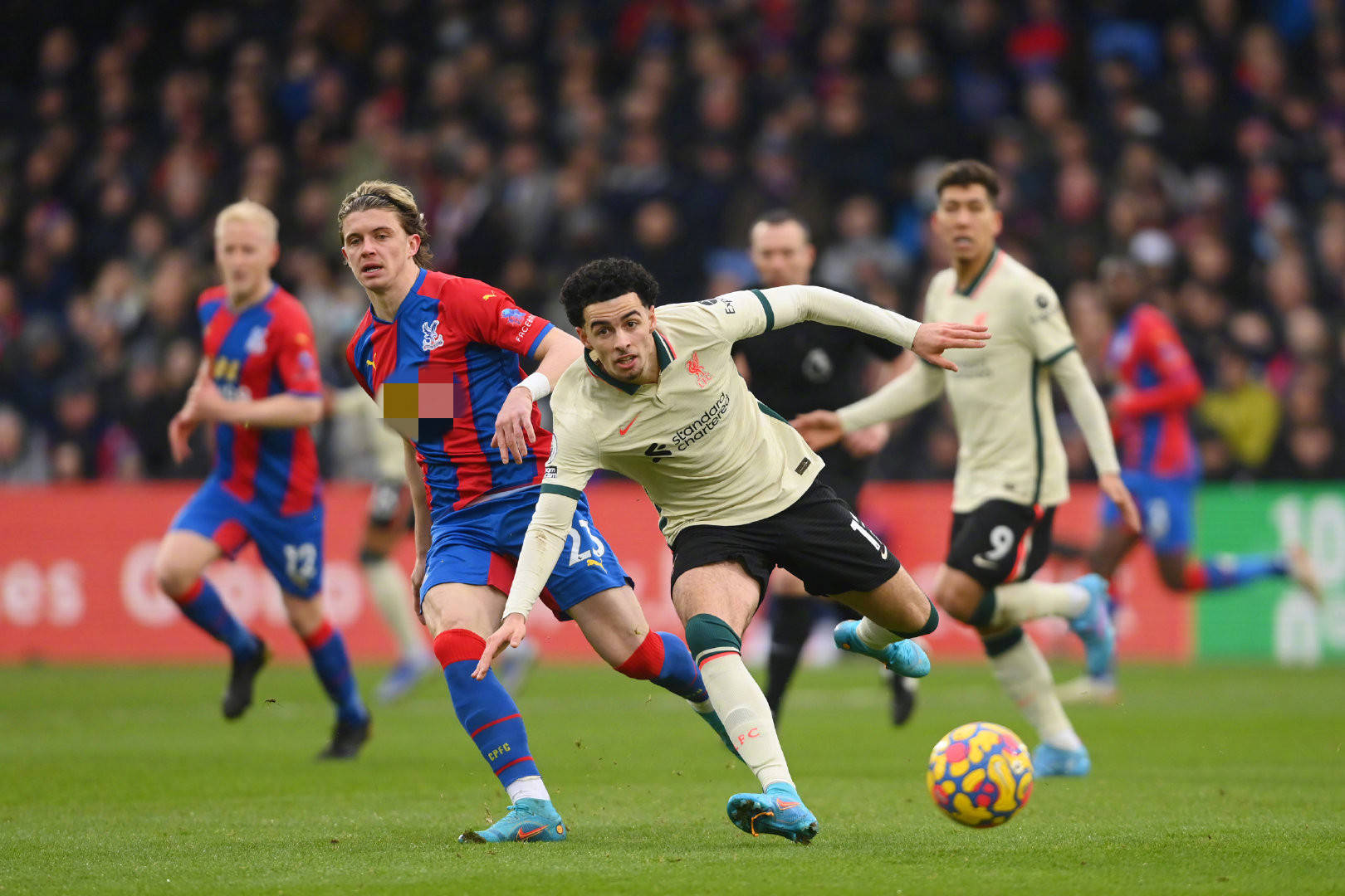 葡萄牙队在 葡萄牙队在